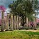 Temple of Hera